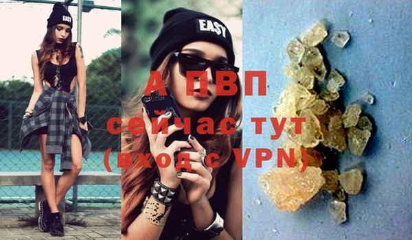 стаф Нефтегорск