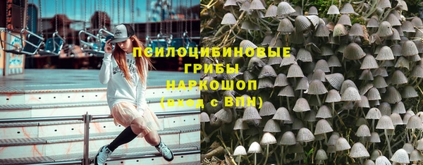 стаф Нефтегорск