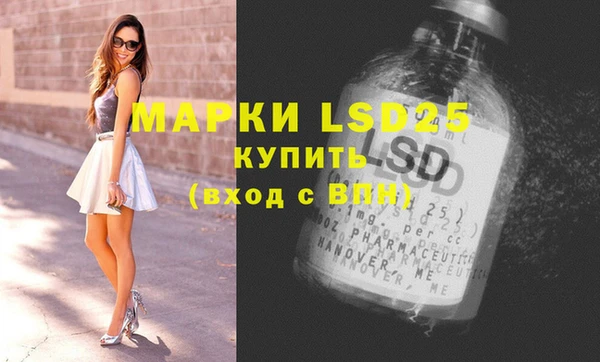стаф Нефтегорск