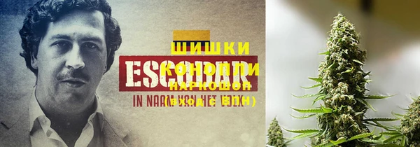 стаф Нефтегорск
