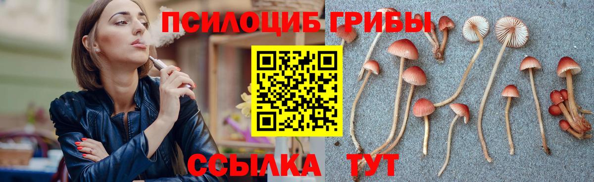 Галлюциногенные грибы MAGIC MUSHROOMS  Вход с VPN  Владивосток 