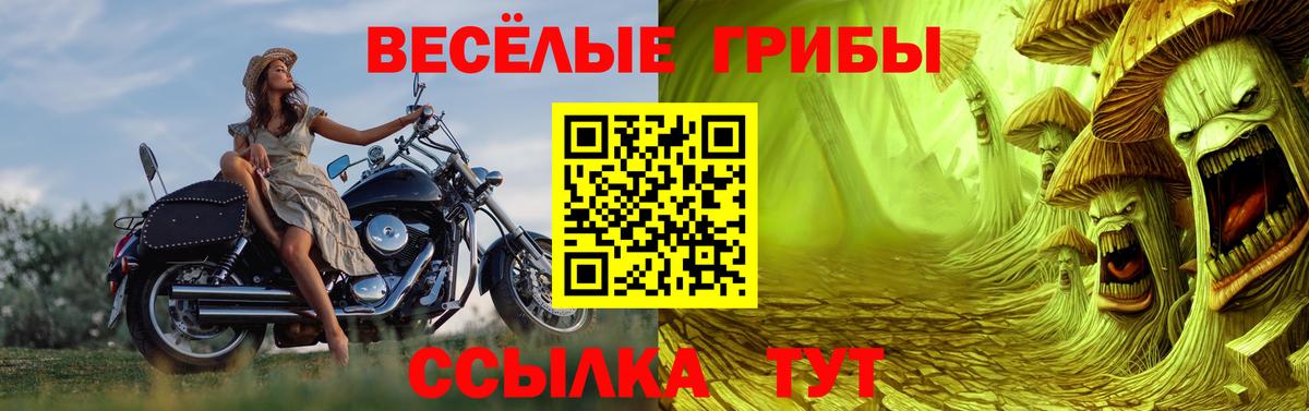 Псилоцибиновые грибы прущие грибы Владивосток